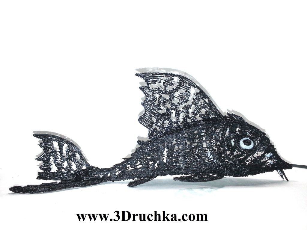 3Druchka_com-fish.jpg